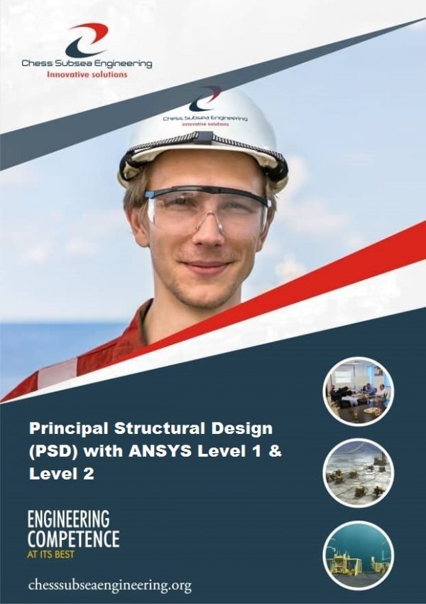 Principal Structural Design (PSD) with ANSYS Level 1 & Level 2